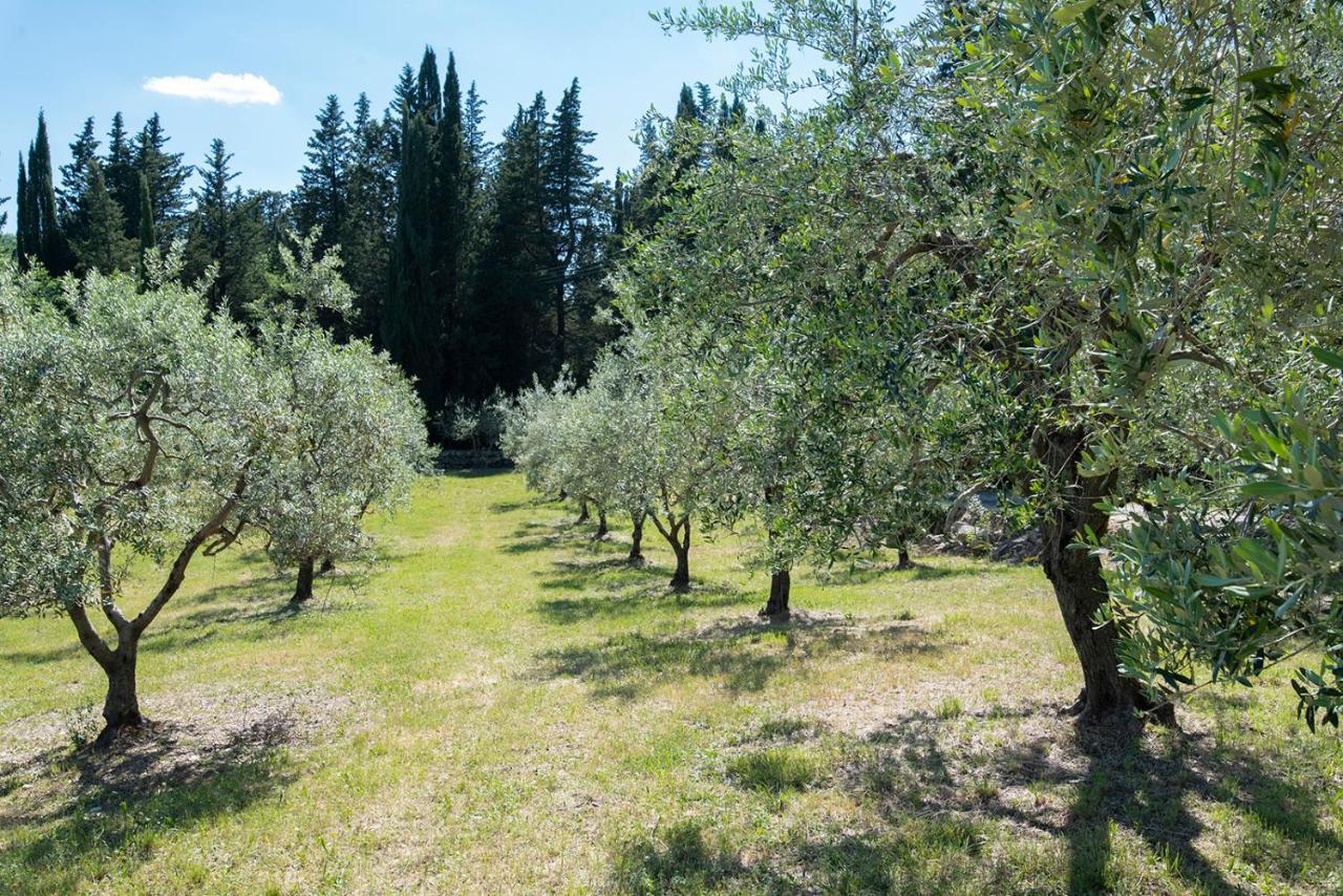 Casa Il Cipresso, In The Heart Of Chianti With Swimming Pool Villa Castellina in Chianti Exterior photo